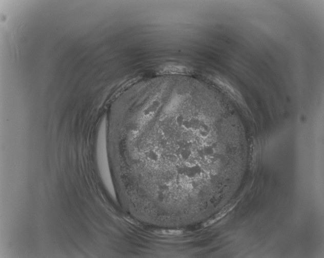 X0000080680361200612301430