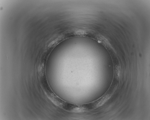 X0000080680364200612301430