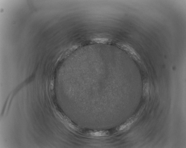 X0000080680365200612301430