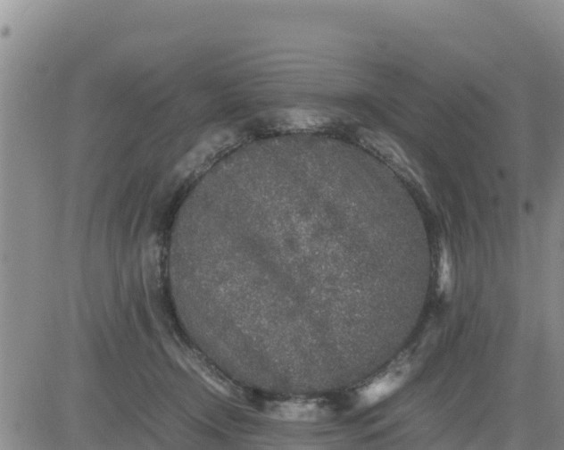 X0000080680366200612301430