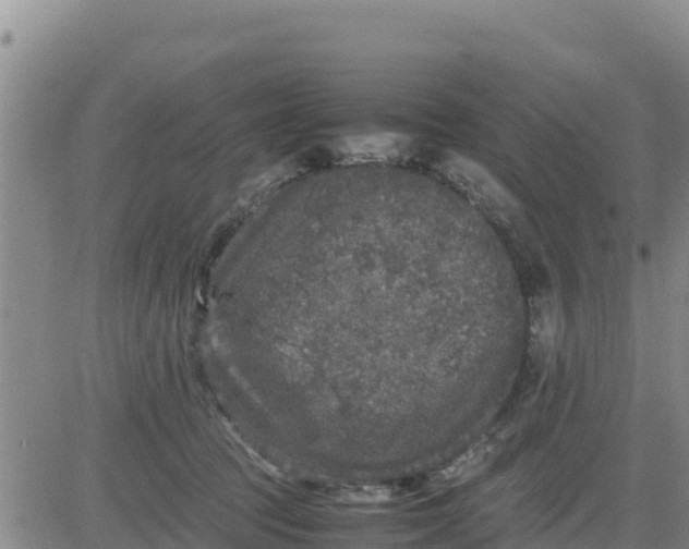 X0000080680369200612301430