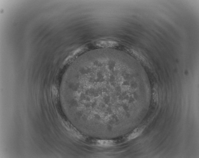 X0000080680371200612301430