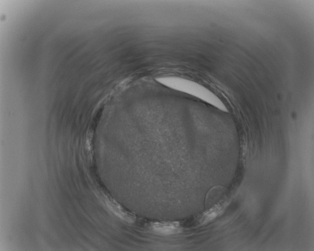 X0000080680373200612301431