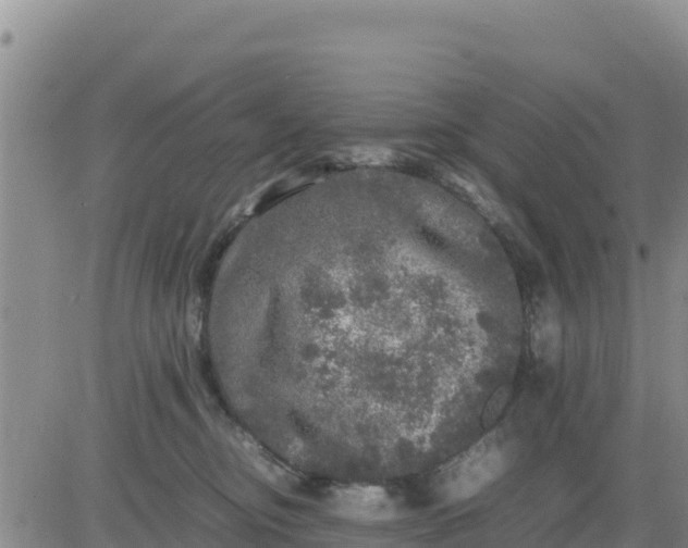 X0000080680374200612301431