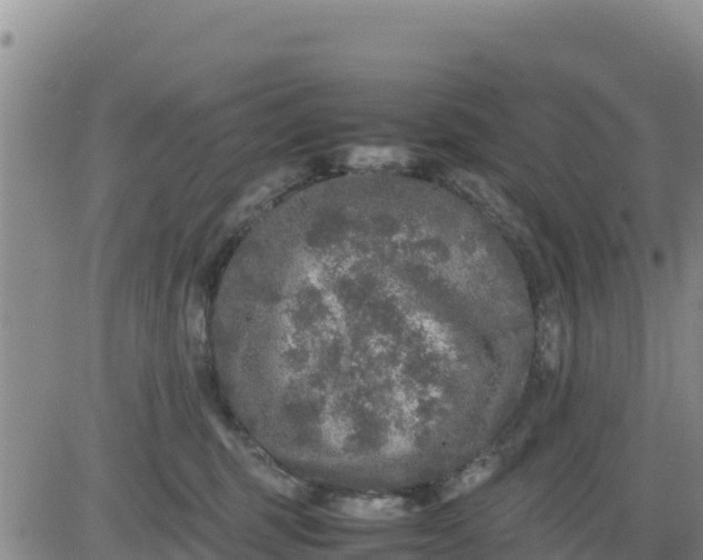 X0000080680375200612301431