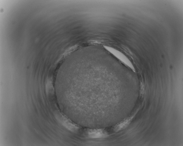 X0000080680377200612301431