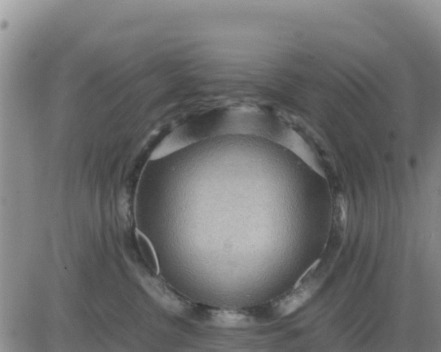 X0000080680380200612301431