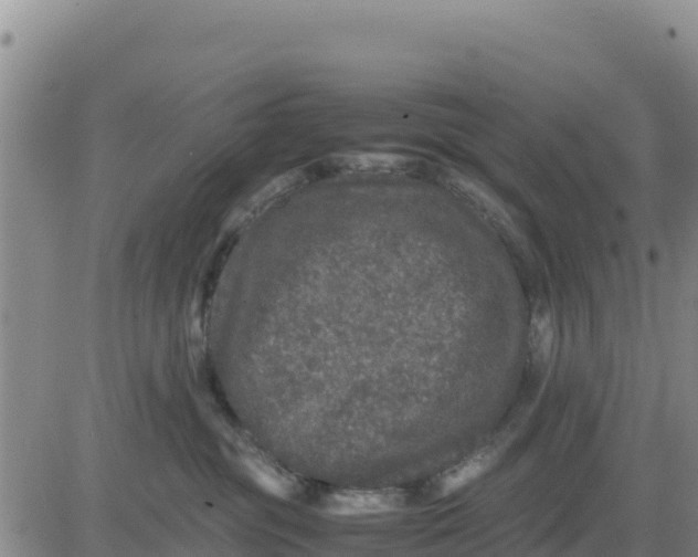 X0000080680381200612301431