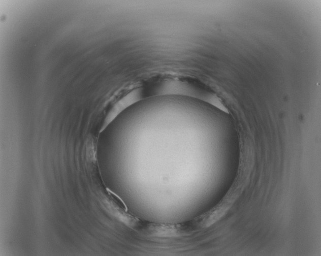 X0000080680384200612301431