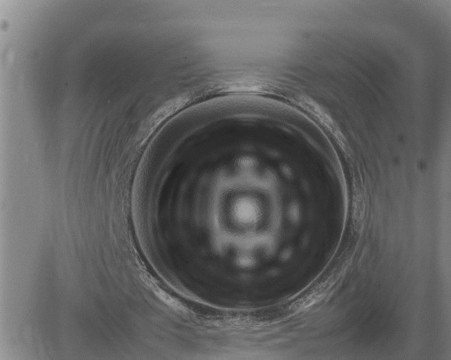 X0000080680385200612301430