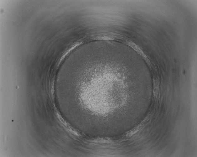 X0000080680386200612301430