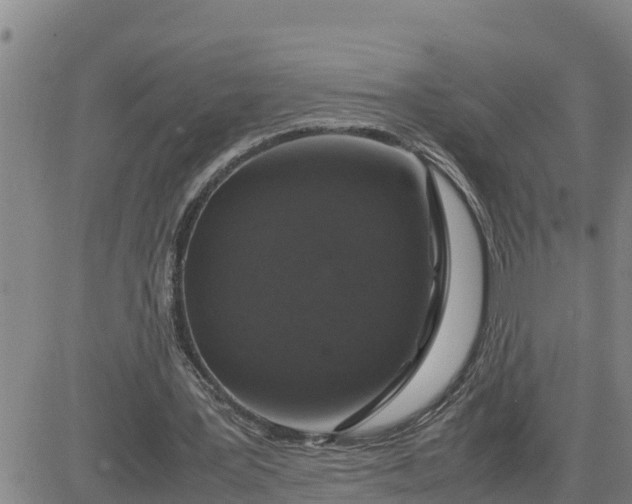 X0000080680387200612301430