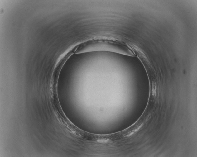 X0000080680388200612301430