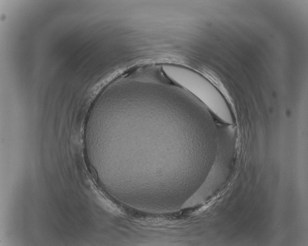 X0000080680389200612301430