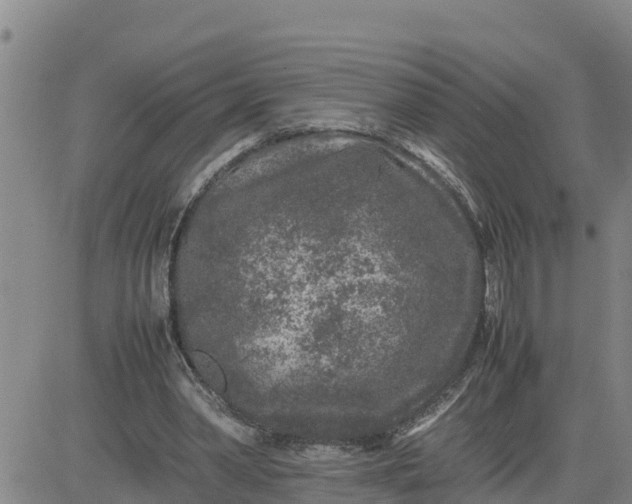 X0000080680390200612301430