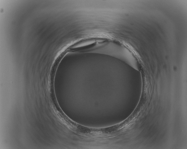 X0000080680391200612301430