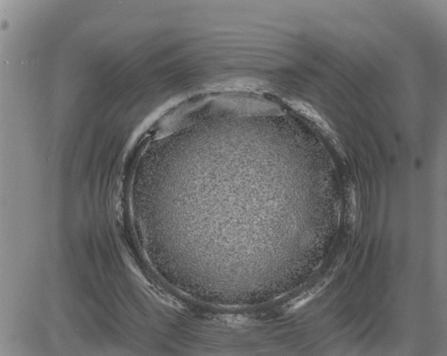 X0000080680392200612301430