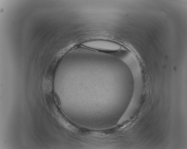 X0000080680393200612301430