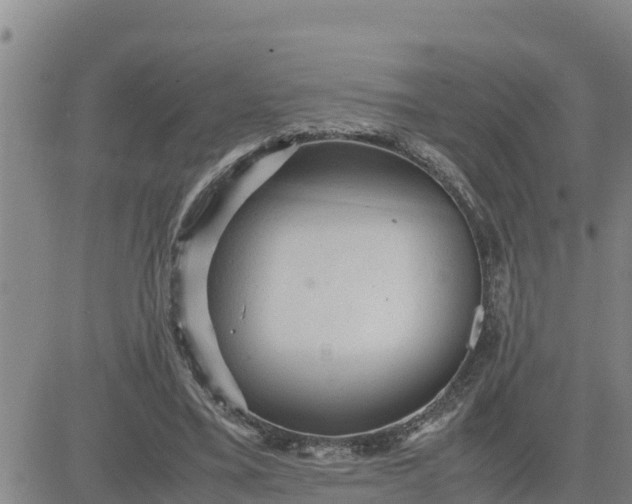 X0000080680395200612301430