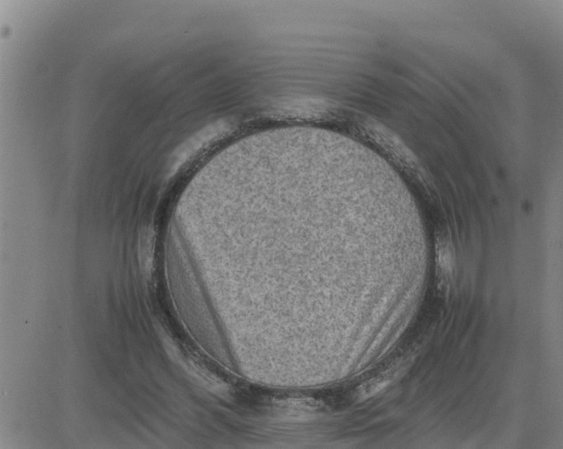 X0000080680396200612301430