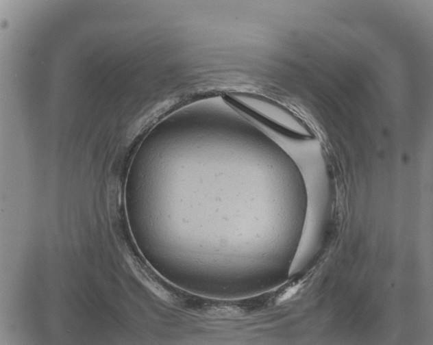 X0000080680397200612301430