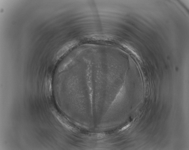 X0000080680398200612301430