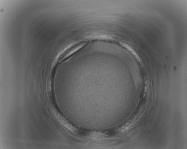 X0000080680399200612301430