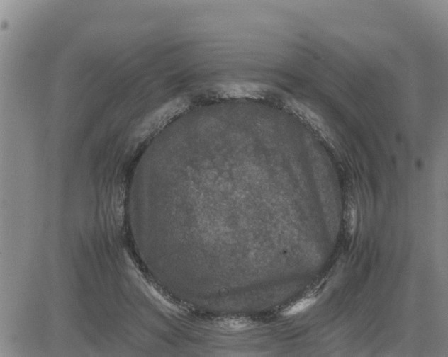 X0000080680402200612301430