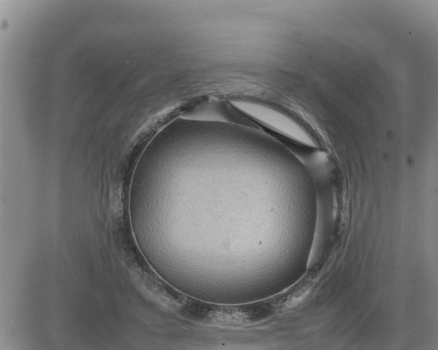 X0000080680403200612301430