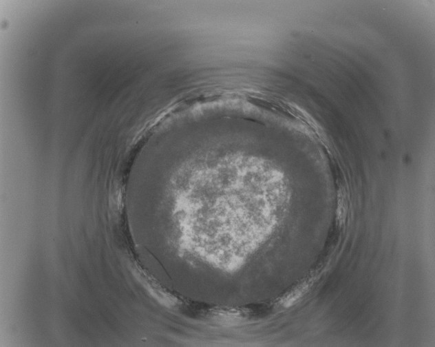 X0000080680405200612301430