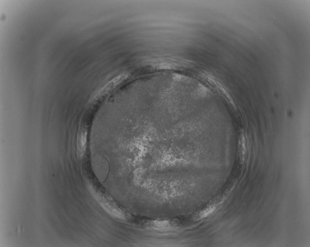 X0000080680406200612301430