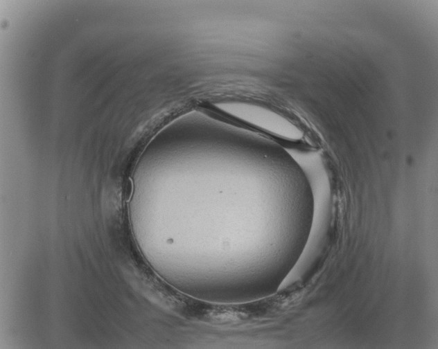 X0000080680407200612301430