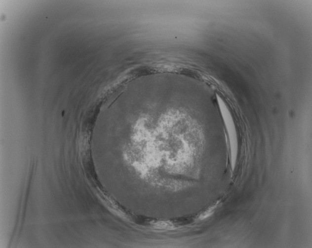 X0000080680409200612301430