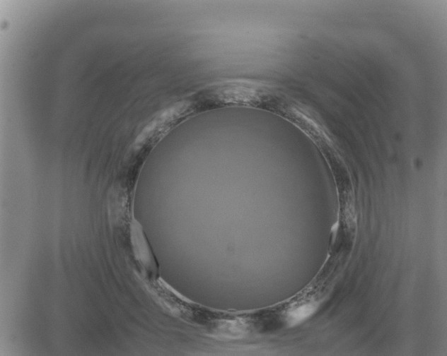 X0000080680411200612301430