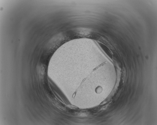 X0000080680412200612301429