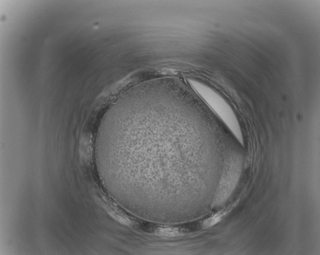 X0000080680413200612301429