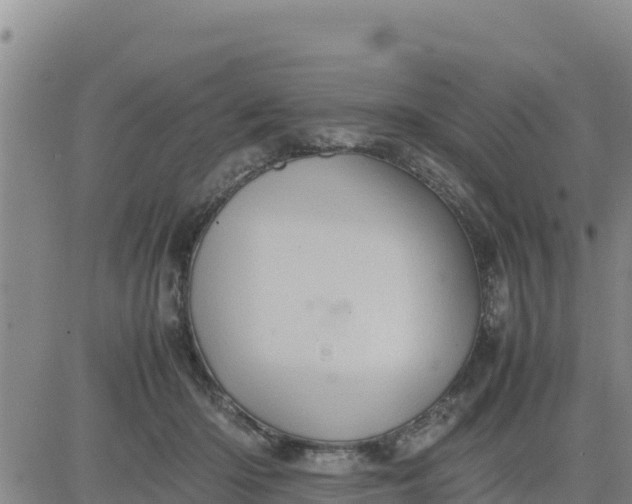 X0000080680414200612301429