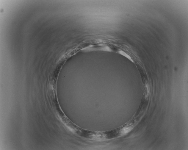 X0000080680415200612301429