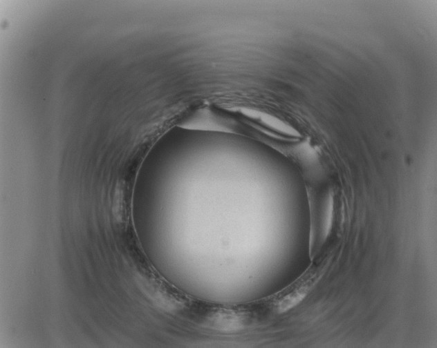 X0000080680416200612301429