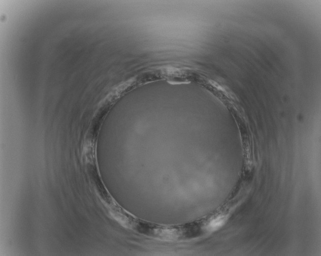 X0000080680419200612301429