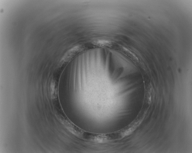 X0000080680420200612301429