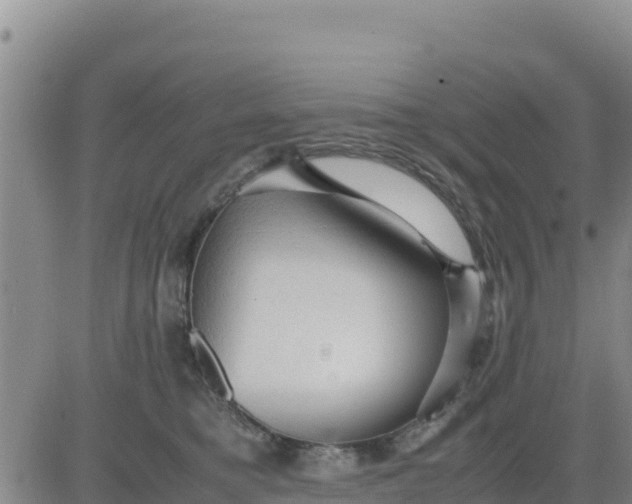 X0000080680421200612301429