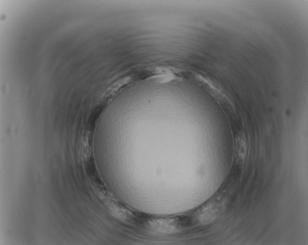 X0000080680422200612301429