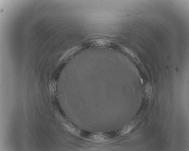 X0000080680423200612301429