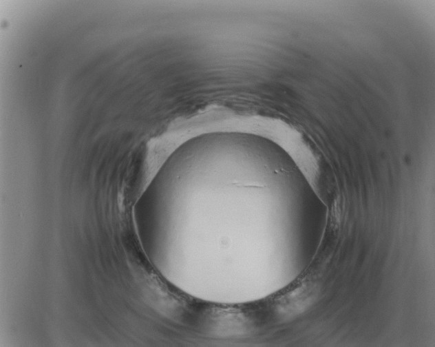 X0000080680424200612301429