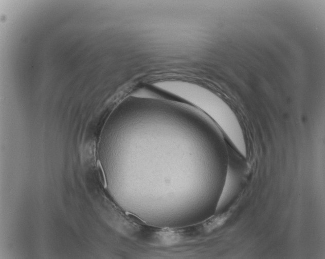 X0000080680425200612301429