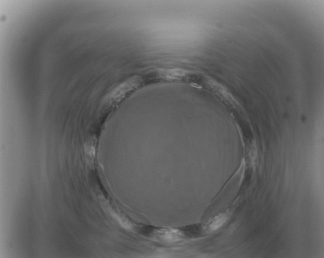 X0000080680427200612301429