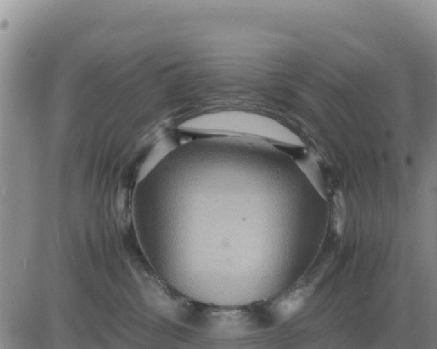 X0000080680428200612301429