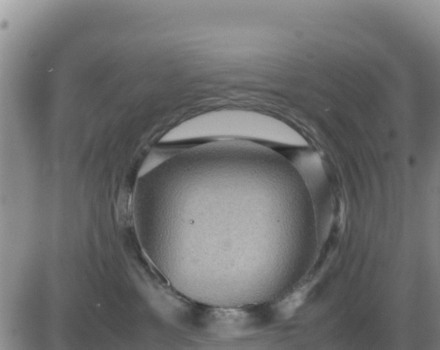 X0000080680429200612301429