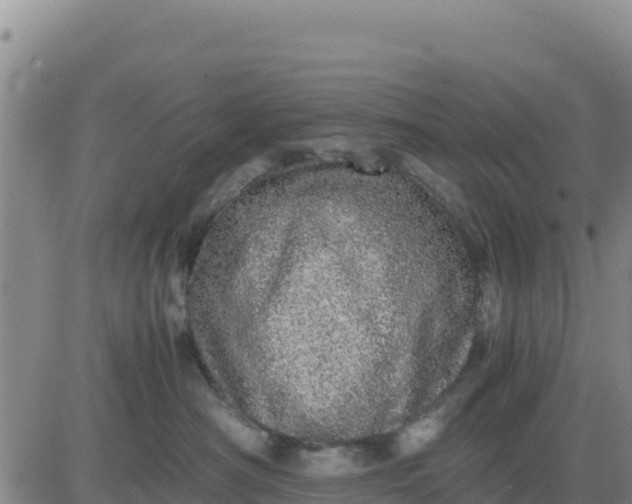 X0000080680430200612301429